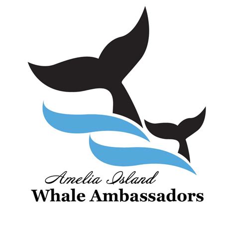 amelia island whale ambassadors